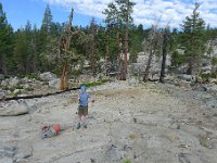 YosemiteCreek 110 : YosemiteCreek